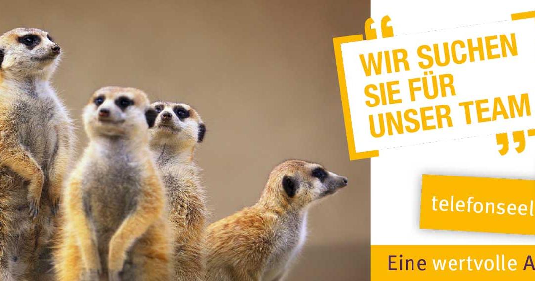 TS-BA_Slider-Werbung-Ehrenamtliche
