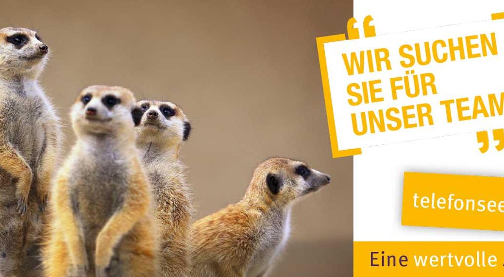 TS-BA_Slider-Werbung-Ehrenamtliche